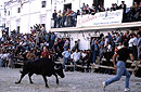 Fiestas
Castril de la Peña, Granada