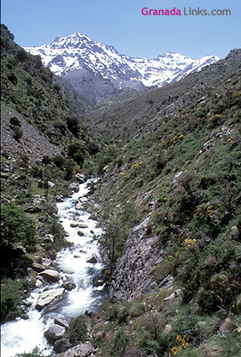 Vereda de la Estrella, 
Gujar Sierra (Sierra Nevada), Granada